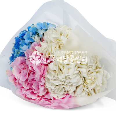 수국다발