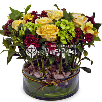 내마음을 받아줘