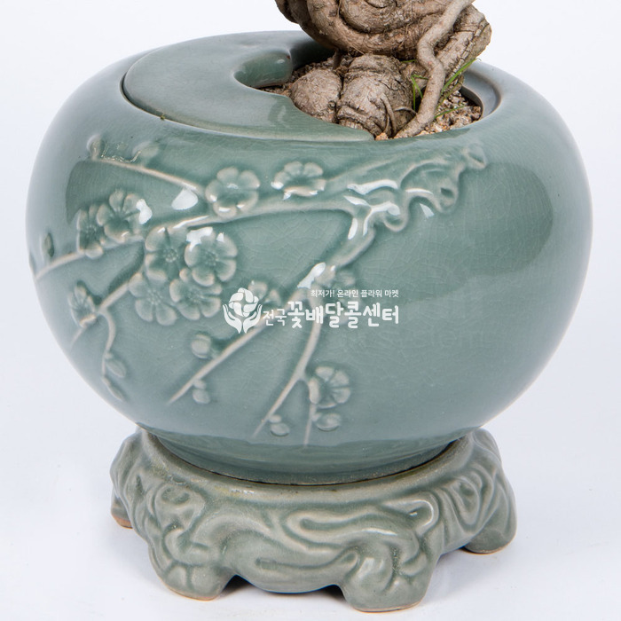 상세이미지
