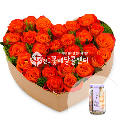 꽃기쁨33호