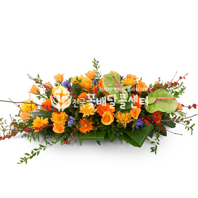 유색계열사방화