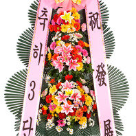 축하3단화환 (비회원 특가)